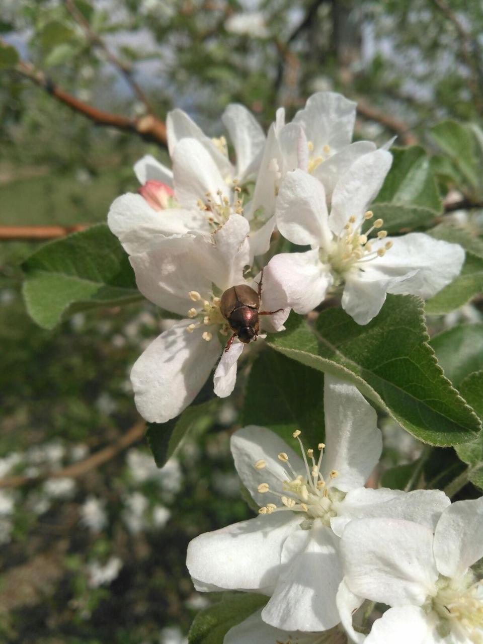 Готель Horn Azumino (Adults Only) Екстер'єр фото